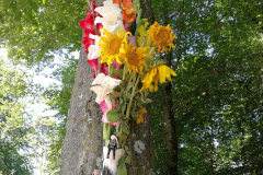 IMG_20170806_122013_926