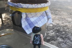 IMG_20190608_075855_336-scaled