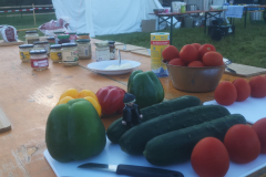 IMG_20190624_071333_297-scaled