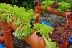 20240531_0955252225002869787348216