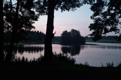 20240821_0538569085479869506759406