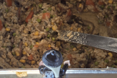 flaeming.kitchen-20250531-061120-20250531-061120