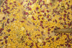 flaeming.kitchen-20250806-192546-20250806-192546