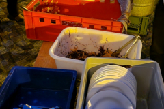 flaeming.kitchen-20250809-213840-20250809-213840