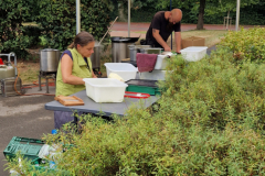 flaeming.kitchen-20250828-152542-20250828-152542