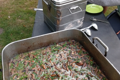 flaeming.kitchen-img-20250823-181822-img-20250823-181822