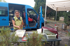 flaeming.kitchen-img-20250828-153320-img-20250828-153320