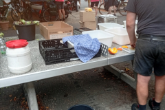 flaeming.kitchen-img-20250829-155748-img-20250829-155748