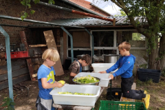 flaeming.kitchen-signal-2025-11-03-10-25-52-893-signal-2025-11-03-10-25-52-893