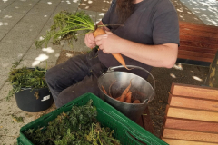 flaeming.kitchen-signal-2025-11-03-10-56-00-992-2-signal-2025-11-03-10-56-00-992-2