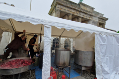 flaeming.kitchen-20260117-113534-20260117-113534