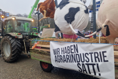 flaeming.kitchen-20260117-142418-20260117-142418