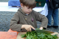 181142_376879255693572_451241708_n