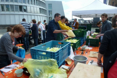 205376_376879102360254_219393461442153_984437_620174408_n