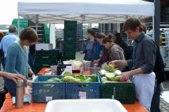 303547_376879049026926_804545663_n