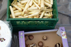 481306_376879709026860_21773597_n