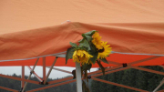 flaeming.kitchen-qvzpd2pkyld6shhwcllrzjj5cwe1dktl-qvzpd2pkyld6shhwcllrzjj5cwe1dktl