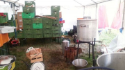 50-Wach-werden-Fruehstueck-ist-fast-fertig