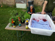 20140628_194414_Karlshof-scaled