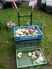 20140629_112919_Karlshof-scaled