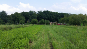 20140709_122512