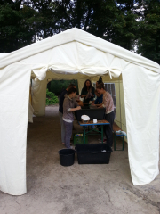 20140812_102448_Muensterstrasse