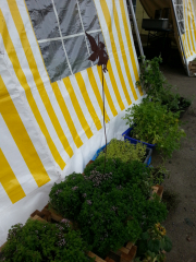20140813_084035_Muensterstrasse